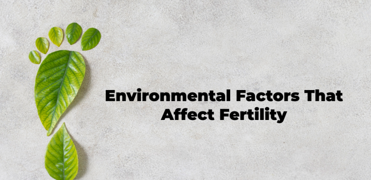 5 Environmental Factors That Affect Your Fertility