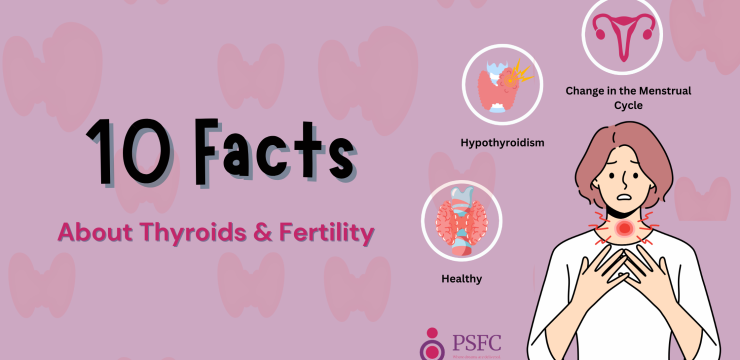 Fertility Specialist in Chennai