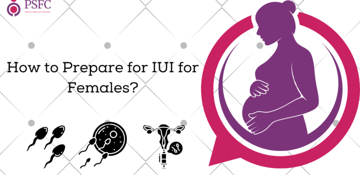 How to Prepare for IUI for Females